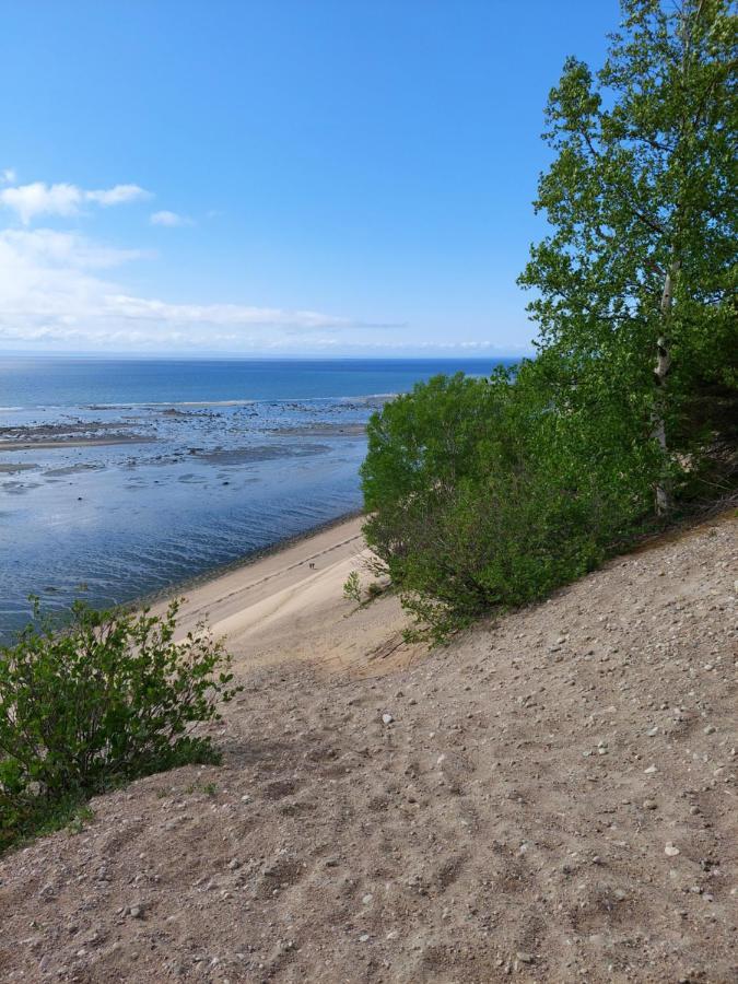 La Nef Bleue Villa Tadoussac Kültér fotó
